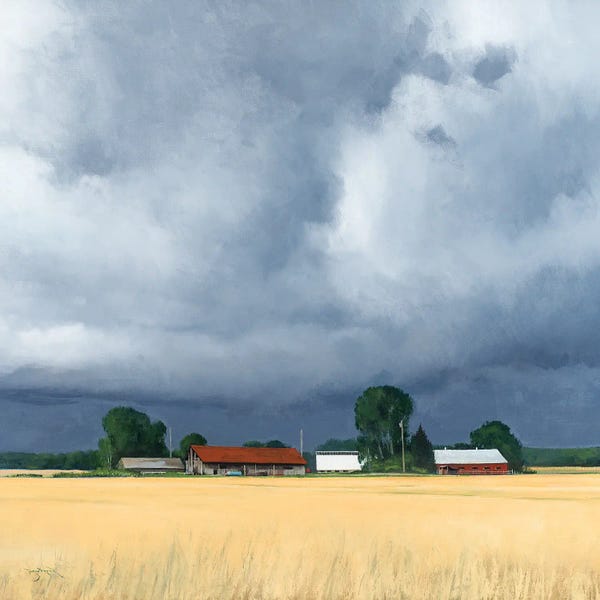 Moody Atmospheres: Door County Wheat And Weather by Ben Bauer