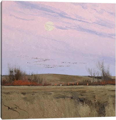 Fall In Minnesota Canvas Art Print - Infinite Landscapes
