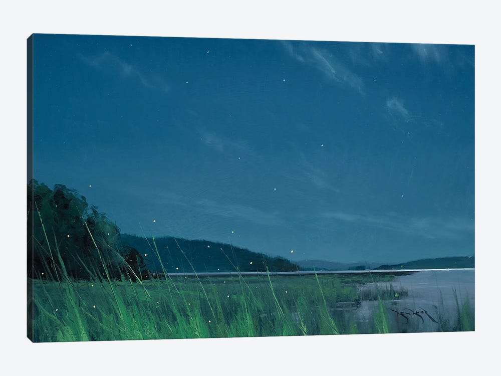 Fire Flies At Lake Mary by Ben Bauer 1-piece Canvas Print