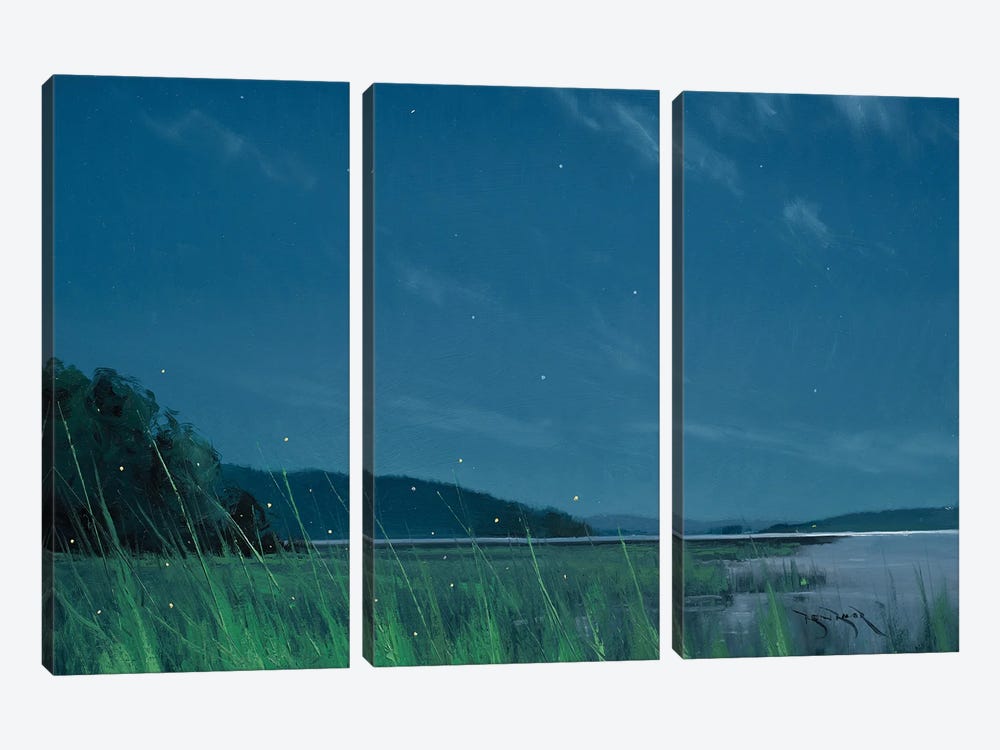 Fire Flies At Lake Mary by Ben Bauer 3-piece Art Print