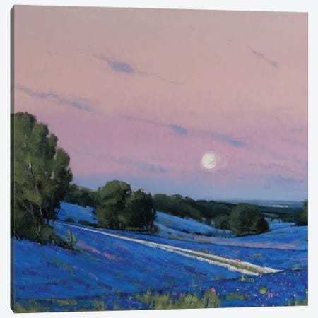 Hill Country Moonrise Blue Bonnets Canvas Print #BBU21} by Ben Bauer Art Print