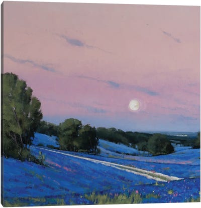 Hill Country Moonrise Blue Bonnets Canvas Art Print - Bluebonnet Art