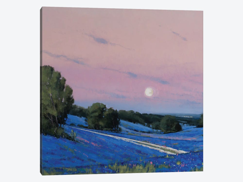 Hill Country Moonrise Blue Bonnets by Ben Bauer 1-piece Canvas Art