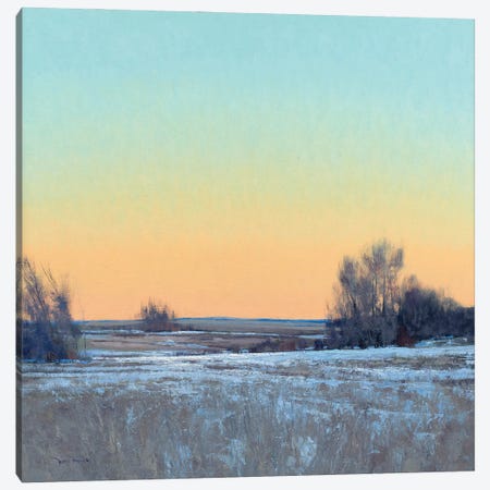 Late Afternoon In March Lowry MN Canvas Print #BBU27} by Ben Bauer Canvas Wall Art