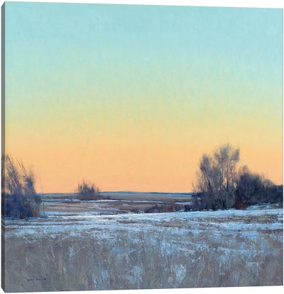 Late Afternoon In March Lowry MN Canvas Art Print - Plein Air Paintings