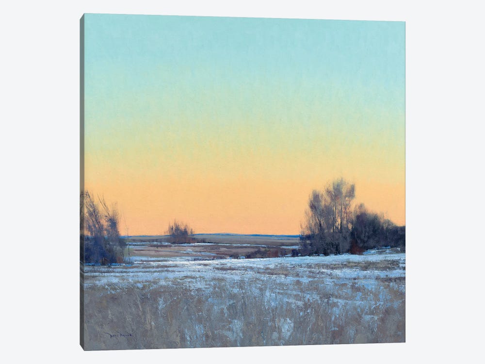 Late Afternoon In March Lowry MN by Ben Bauer 1-piece Canvas Art
