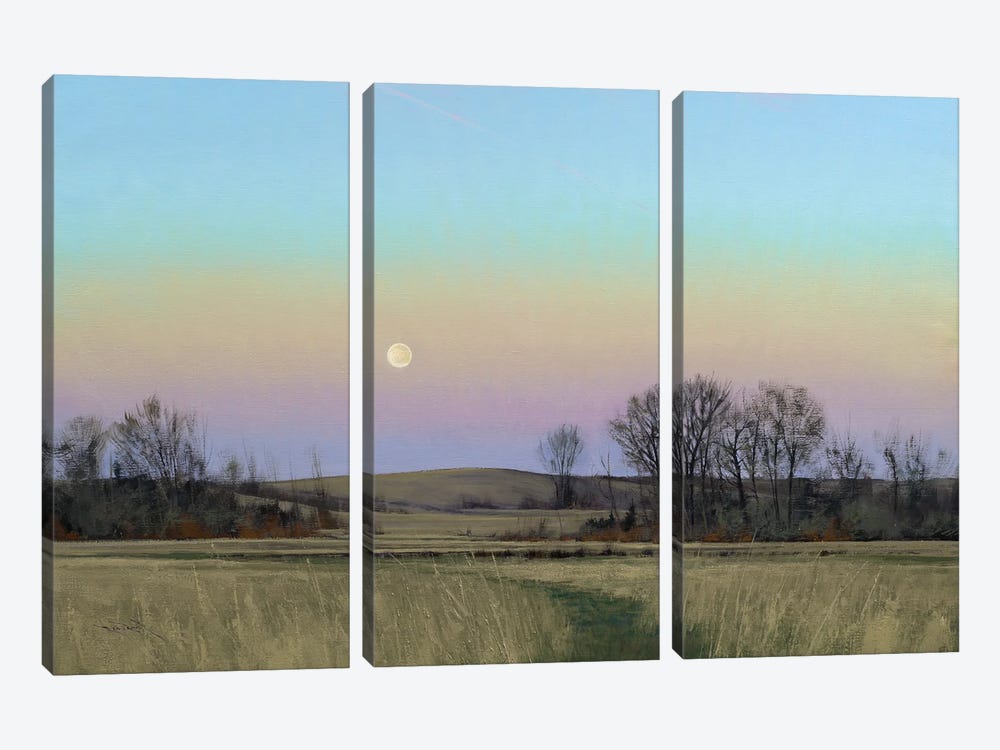 Minnesota Glacial Lakes Area At Dusk by Ben Bauer 3-piece Canvas Art Print