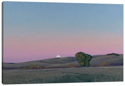 Moonrise In Lowry MN Canvas Art Print - Plein Air Paintings