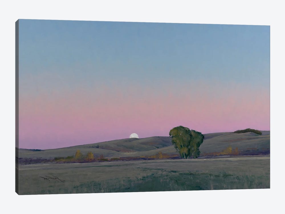 Moonrise In Lowry MN by Ben Bauer 1-piece Art Print