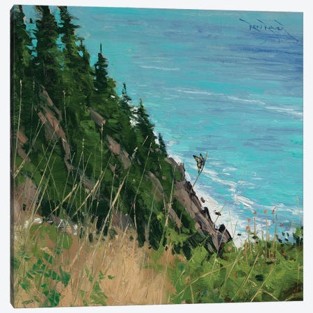 Oregon Coast Canvas Print #BBU41} by Ben Bauer Canvas Print