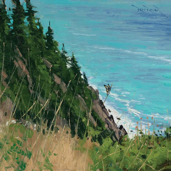 Ben Bauer: Oregon Coast by Ben Bauer