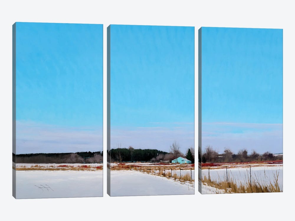 Perfect Winters Day by Ben Bauer 3-piece Art Print