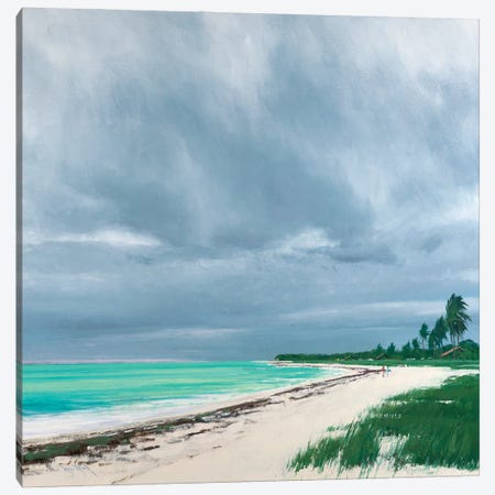 Sandspur Beach Florida Canvas Print #BBU48} by Ben Bauer Canvas Art Print