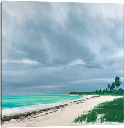 Sandspur Beach Florida Canvas Art Print - Ben Bauer
