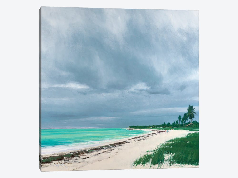 Sandspur Beach Florida by Ben Bauer 1-piece Art Print