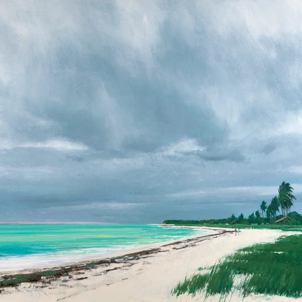 Ben Bauer: Sandspur Beach Florida by Ben Bauer