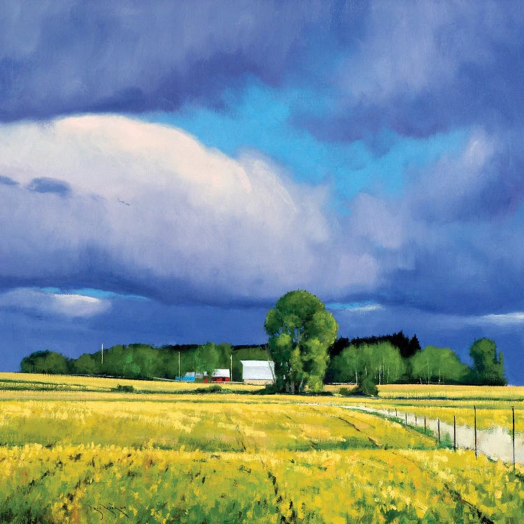 September Fields Lowry MN by Ben Bauer wall art