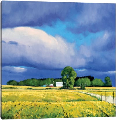 September Fields Lowry MN Canvas Art Print - Barns