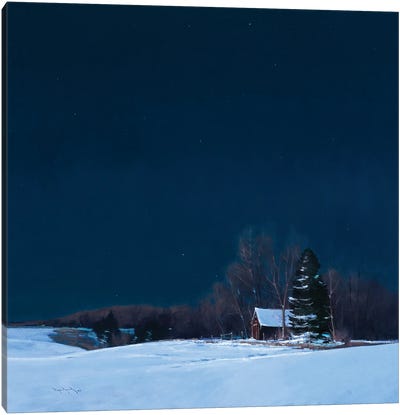 Simply Calm Grant Farm By Moonlight Canvas Art Print - Rustic Winter
