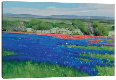 Texas Spring Canvas Art Print - Texas Art