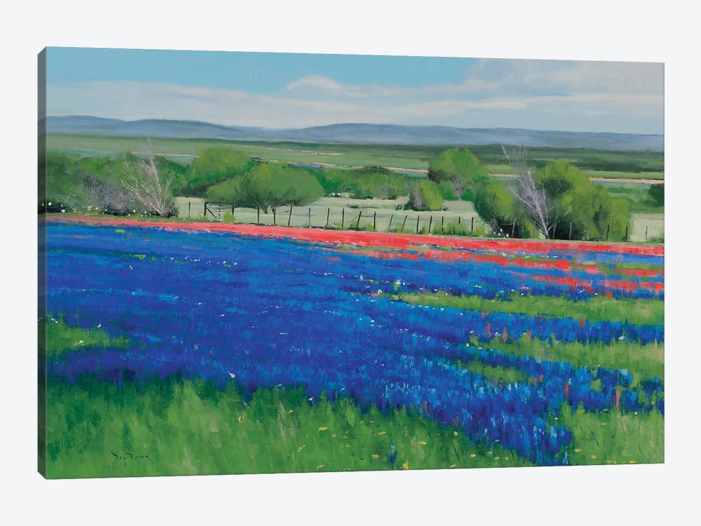 Texas Spring by Ben Bauer 1-piece Canvas Art