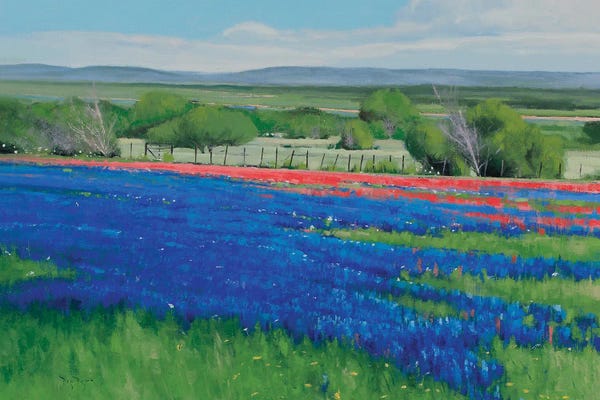 Infinite Landscapes: Texas Spring by Ben Bauer