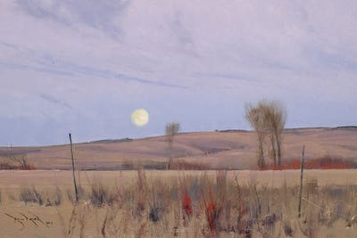 When We Walk These Fields II by Ben Bauer framed canvas print