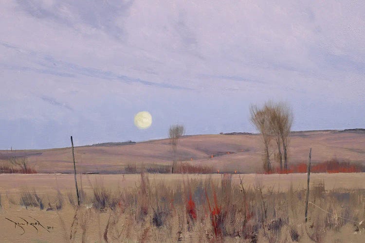 When We Walk These Fields II