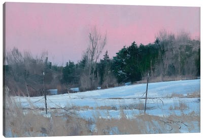 Winter Backyard Canvas Art Print - Rustic Winter