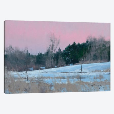 Winter Backyard Canvas Print #BBU64} by Ben Bauer Canvas Art