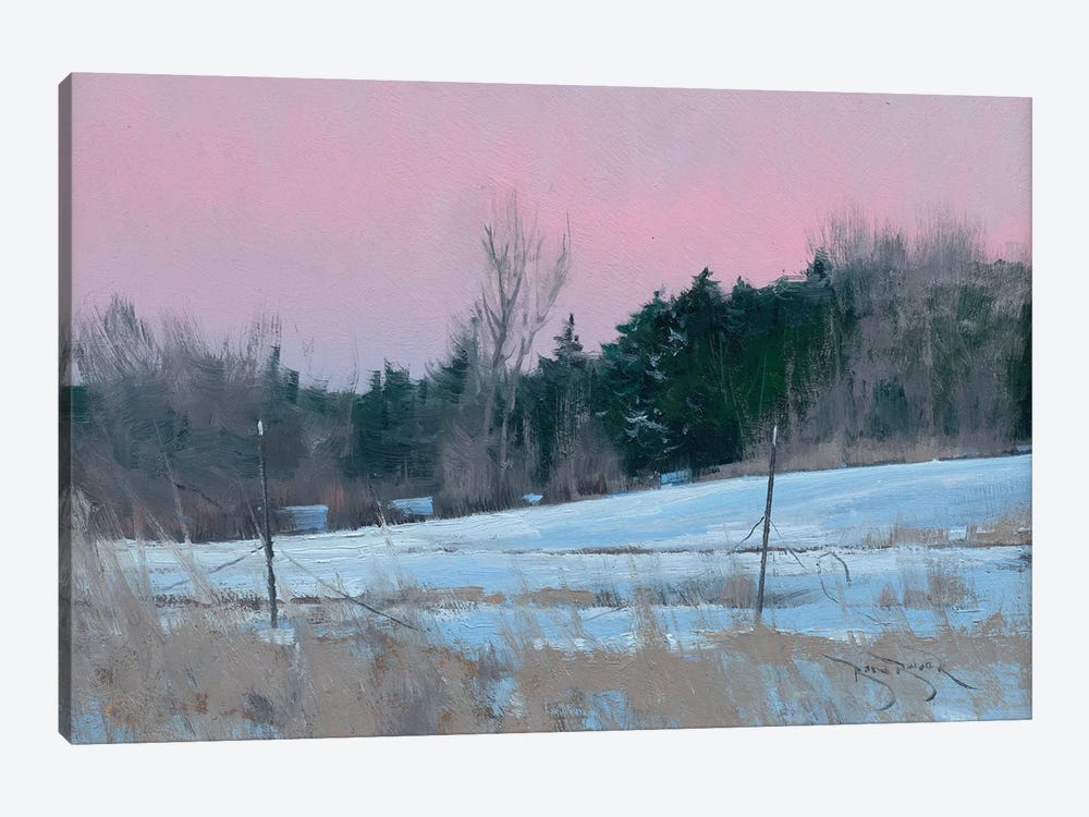 Winter Backyard by Ben Bauer 1-piece Art Print