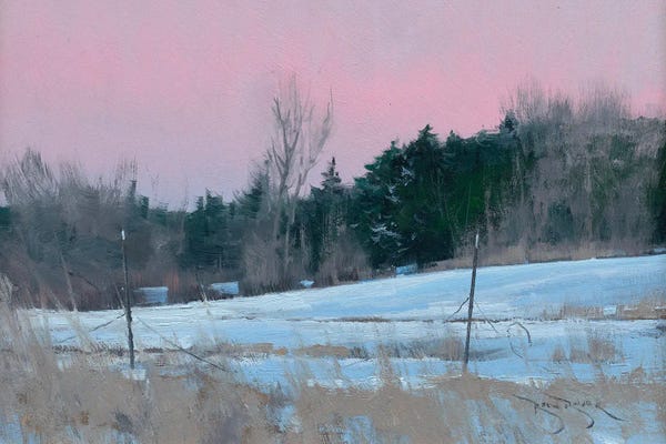 Ben Bauer: Winter Backyard by Ben Bauer