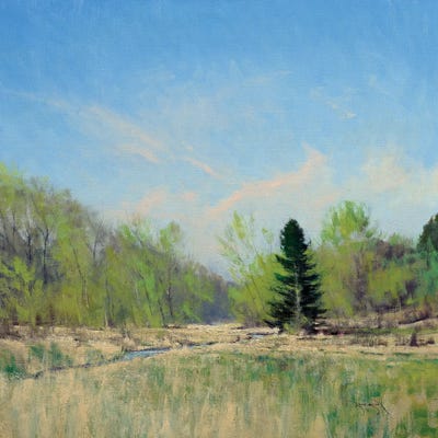 Spring On The Trimbelle River by Ben Bauer canvas print