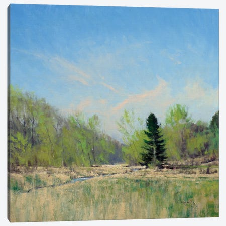 Spring On The Trimbelle River Canvas Print #BBU68} by Ben Bauer Canvas Art Print