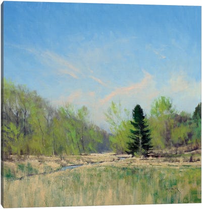 Spring On The Trimbelle River Canvas Art Print - Ben Bauer