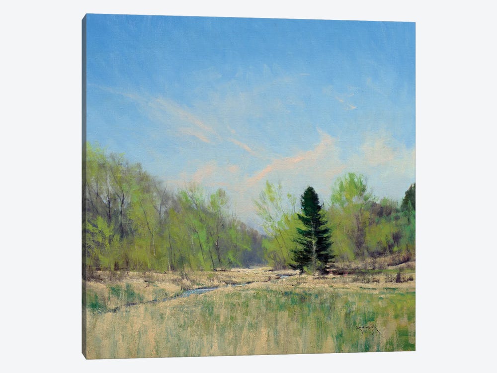 Spring On The Trimbelle River by Ben Bauer 1-piece Canvas Art Print