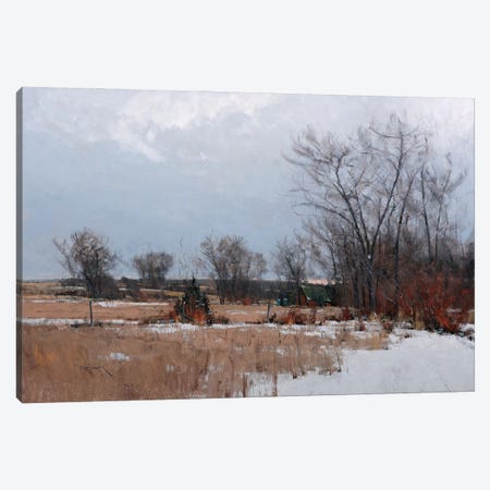 Landscape In Zorn's Palette Canvas Print #BBU70} by Ben Bauer Canvas Wall Art