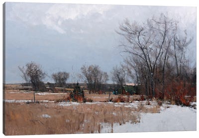 Landscape In Zorn's Palette Canvas Art Print - Ben Bauer