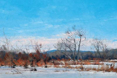 Silent Morning In River Falls by Ben Bauer canvas print