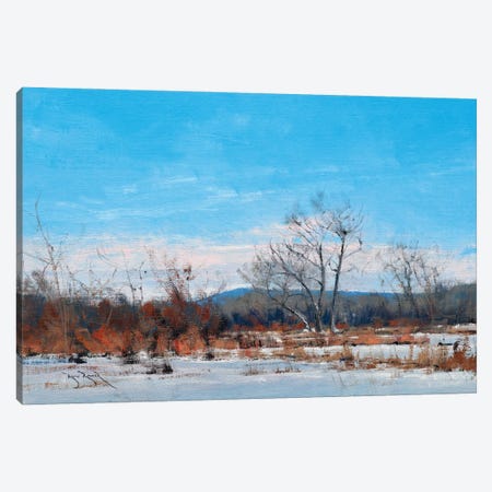 Silent Morning In River Falls Canvas Print #BBU73} by Ben Bauer Canvas Art