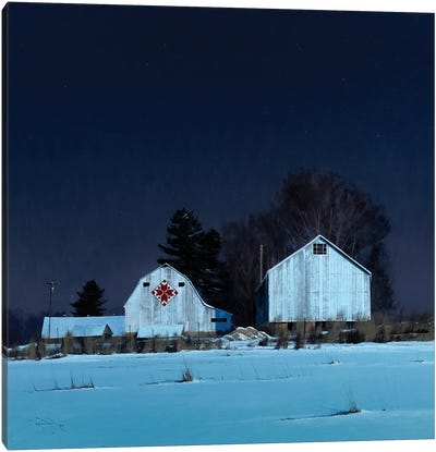 Buffalo County Nordic Star Canvas Art Print - Rustic Winter