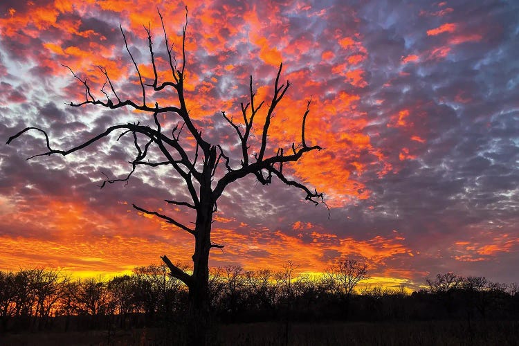 Nature's Fiery Finale by Brian Bielke wall art