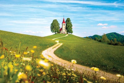 Where The Path Leads You by Brian Bielke canvas print