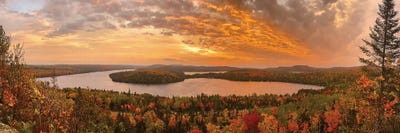Caribou Trail by Brian Bielke canvas print