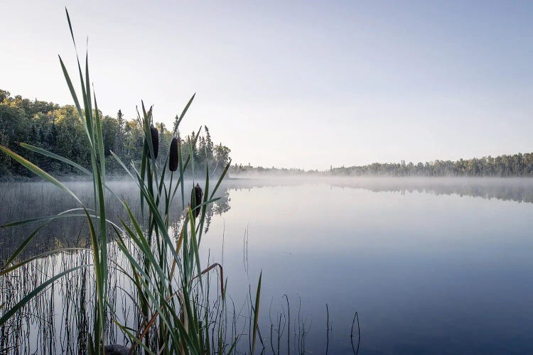 Echoes Through The Mist