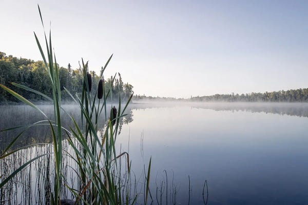 Minnesota: Echoes Through The Mist by Brian Bielke