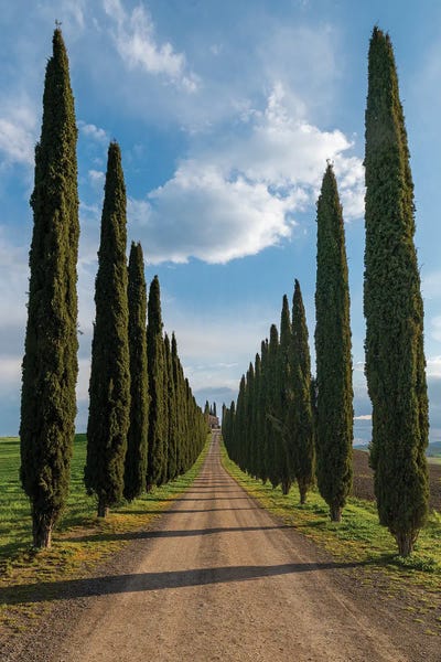 The Road To Silence