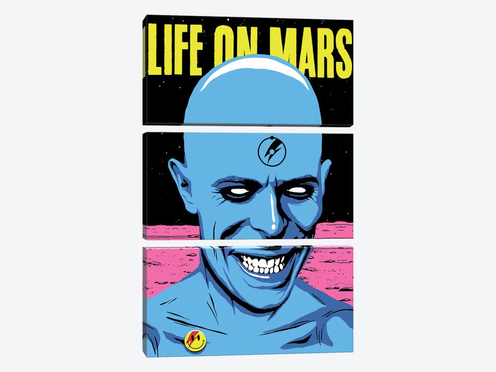 Life On Mars by Butcher Billy 3-piece Canvas Art