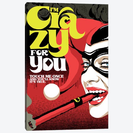 The Crazy Canvas Print #BBY303} by Butcher Billy Canvas Art