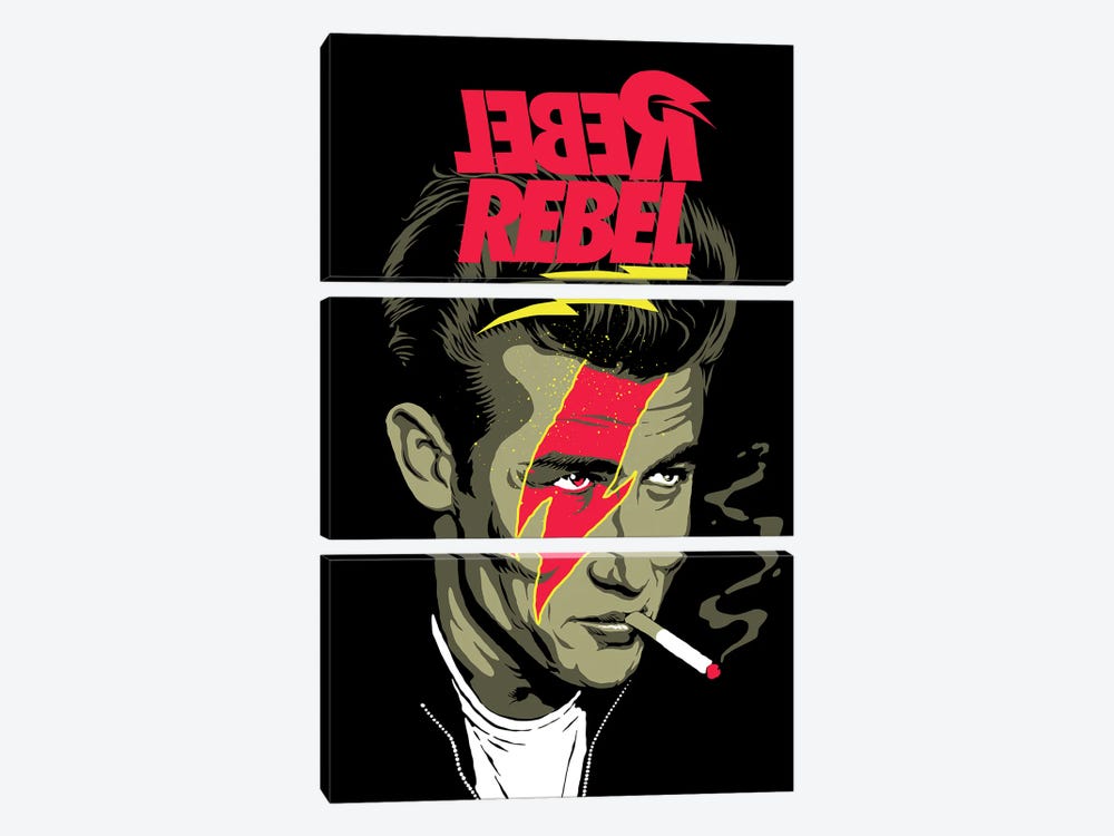 We Can Be Rebels by Butcher Billy 3-piece Canvas Print